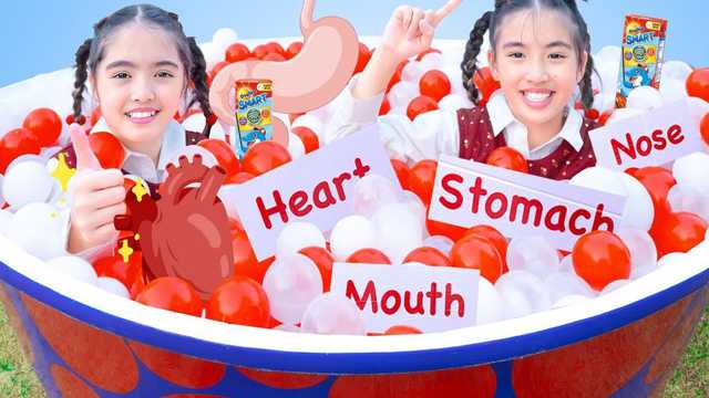 Learning video: Protecting Your Teeth